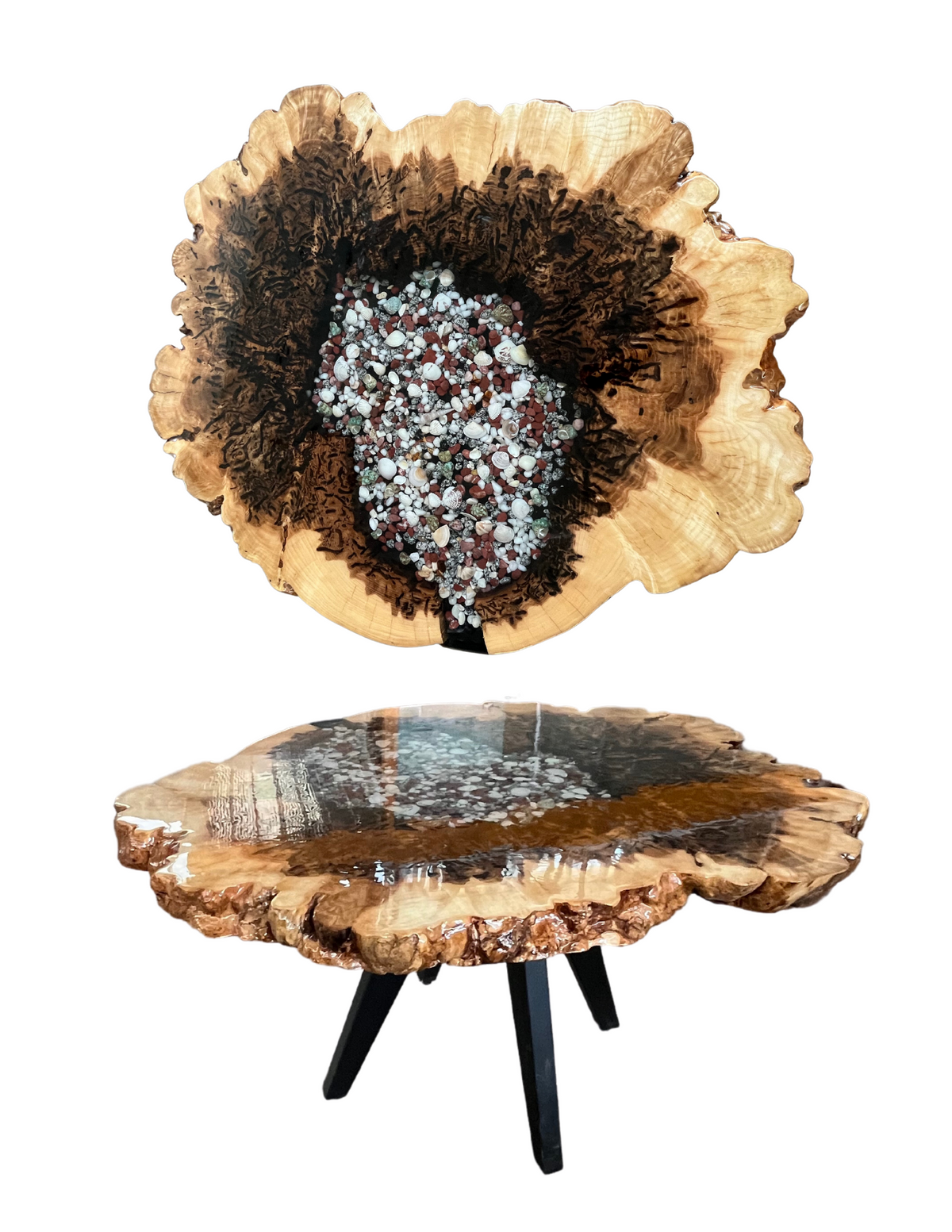 Maple Burl with Shells Coffee Table