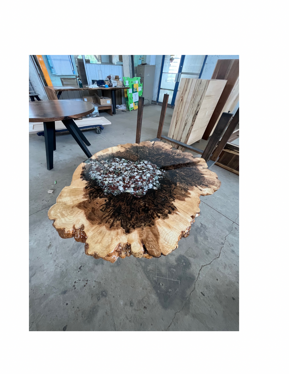 Maple Burl with Shells Coffee Table