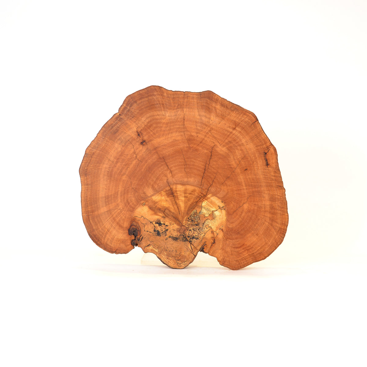 Elm Burl Serving Board: One of a Kind Rare