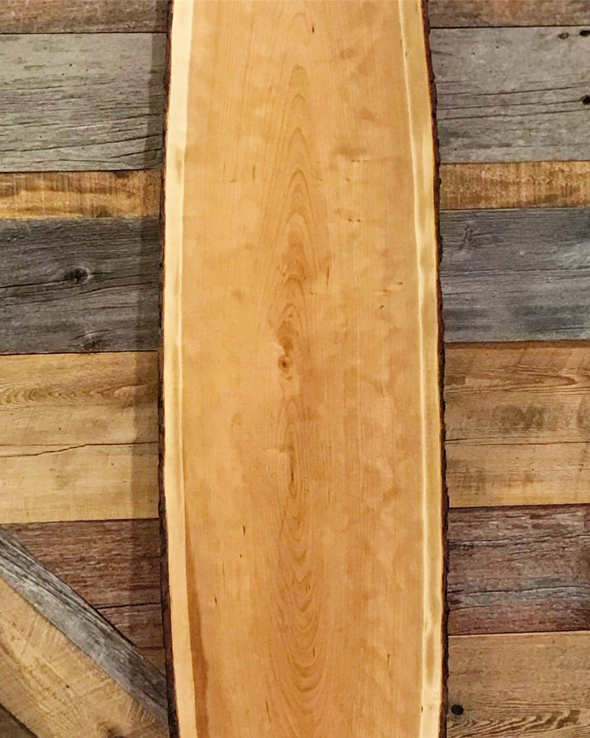 Cherry Serving Board: Unique: Bark On: 8 Foot Long Oval: Four Natural Live Edge Sides